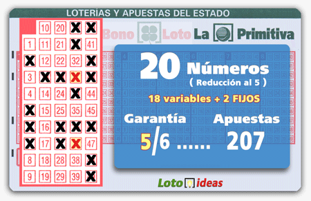 20 números (18 + 2 fijos) en reducción al 5 por 207 apuestas